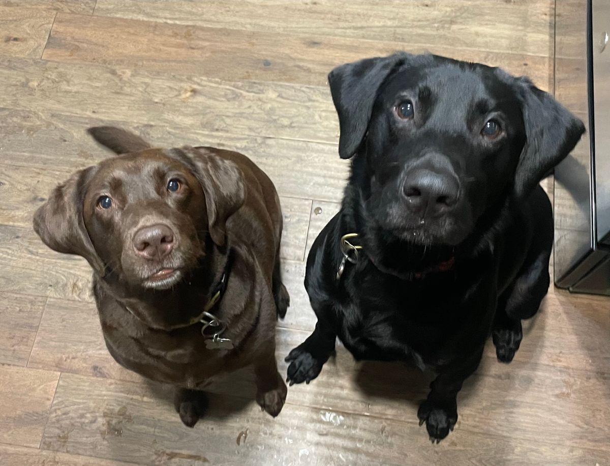 What makes us different?